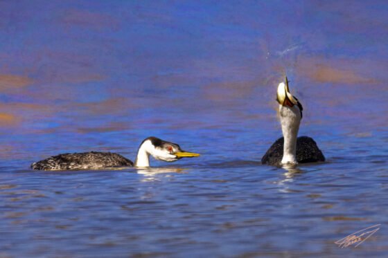 Today’s Photo From Ted Grussing Photography: The Unique … Down the Hatch grussing 20221025a