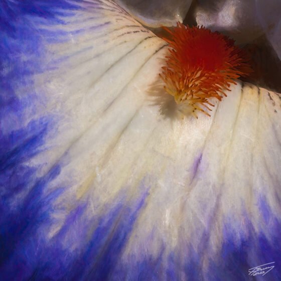 Today’s Photo From Ted Grussing Photography: Welcome to The Inner World grussing 20221110a