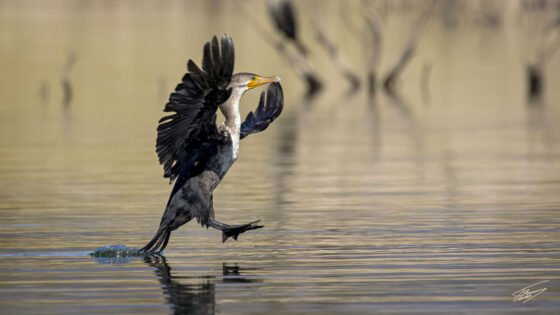 Today’s Photo From Ted Grussing Photography: Perfection grussing 20221117a