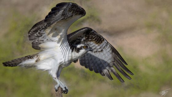 Today’s Photo From Ted Grussing Photography: All that is necessary grussing 20221128a