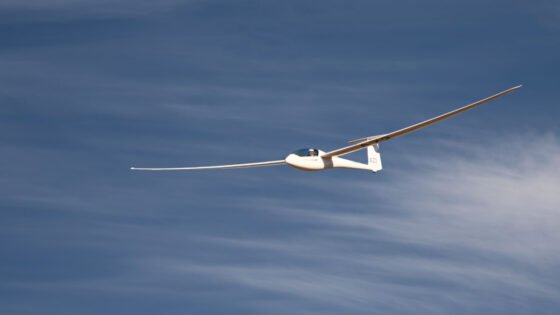 Today’s Photo from Ted Grussing Photography: … with Wings grussing 20221213a