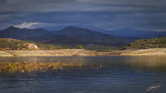 Today’s Photo from Ted Grussing Photography: A Change of Pace grussing 20221214a