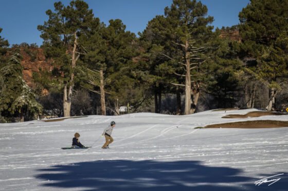 Today’s Photo from Ted Grussing Photography: Why Grow Up? grussing 20221215a