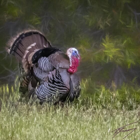 Today’s Photo from Ted Grussing Photography: Starting With The Lake grussing 202230605a