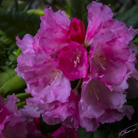 Today’s Photo from Ted Grussing Photography: Now … Then grussing 202230621a