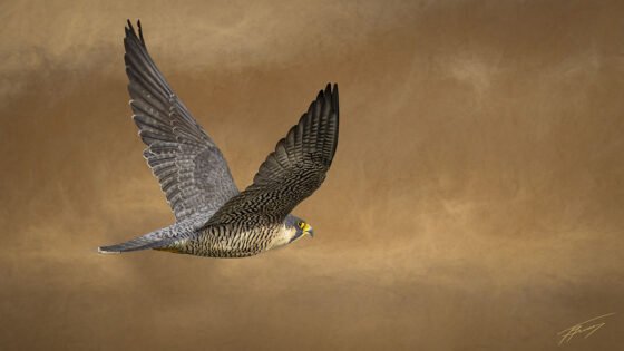 Today’s Photo from Ted Grussing Photography: Something New grussing 20230116a