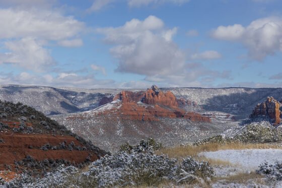Today’s Photo from Ted Grussing Photography: Spread Your Wings … and Fly grussing 20230206a