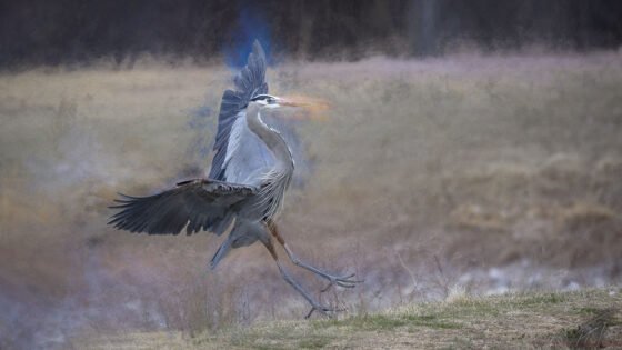 Today’s Photo from Ted Grussing Photography: … through the window grussing 20230222a