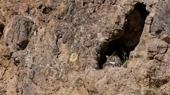 Today’s Photo from Ted Grussing Photography: We’re Back grussing 20230301a