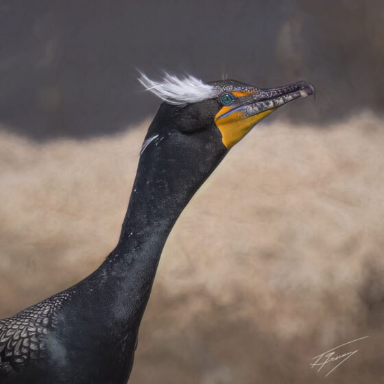 Today’s Photo from Ted Grussing Photography: A Day at The Lake grussing 20230308a