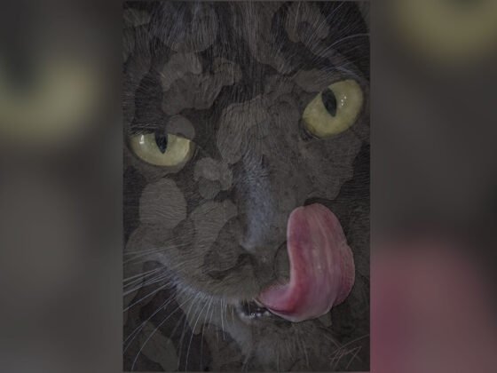 Today’s Photo from Ted Grussing Photography: Vagaries of The Mind grussing 20230315aa