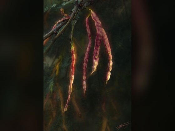 Today’s Photo from Ted Grussing Photography: When The Universe Speaks grussing 20230316aa