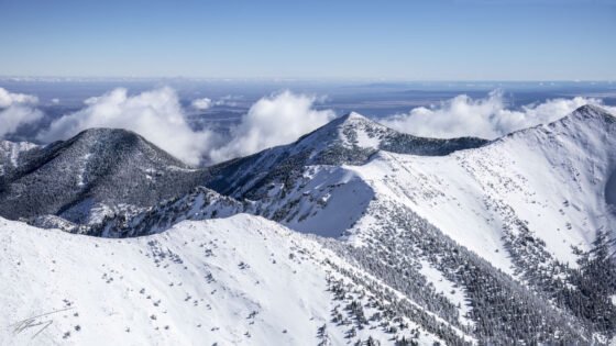 Today’s Photo from Ted Grussing Photography: Soaring … With Ease grussing 20230403a