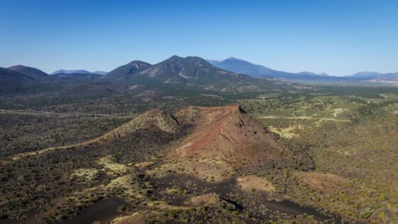Today’s Photo from Ted Grussing Photography: Lineups x 2 grussing 20230404a