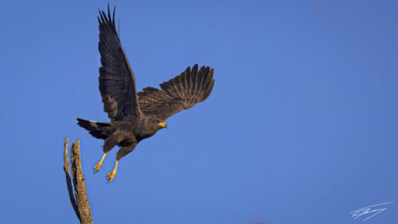 Today’s Photo from Ted Grussing Photography: Ever Have a Day Like This? grussing 20230406a