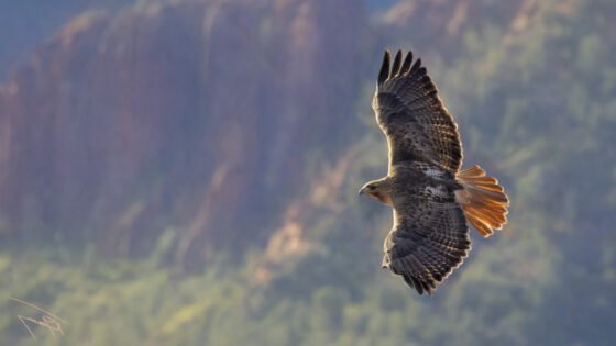 Today’s Photo from Ted Grussing Photography: Reasons to Breathe grussing 20230410a