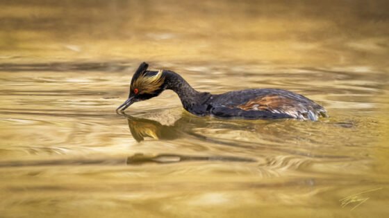 Today’s Photo from Ted Grussing Photography: A few more turns … Still here grussing 20230417a
