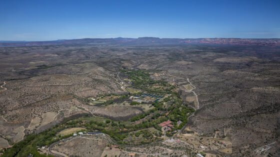 Today’s Photo from Ted Grussing Photography: Where Are You? grussing 20230420a