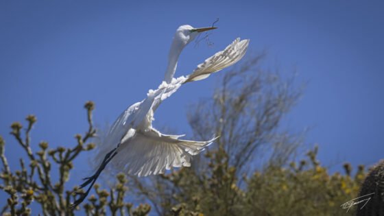 Today’s Photo from Ted Grussing Photography: Bit by Bit grussing 20230424a