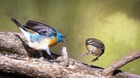 Today’s Photo from Ted Grussing Photography: Be Thee Gone! grussing 20230501a