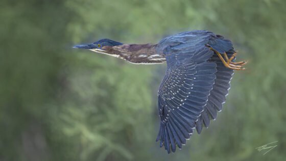 Today’s Photo from Ted Grussing Photography: In Motion … fast and slow grussing 20230515a