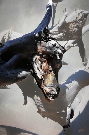 Today’s Photo from Ted Grussing Photography: A Closer Look grussing 20230518a