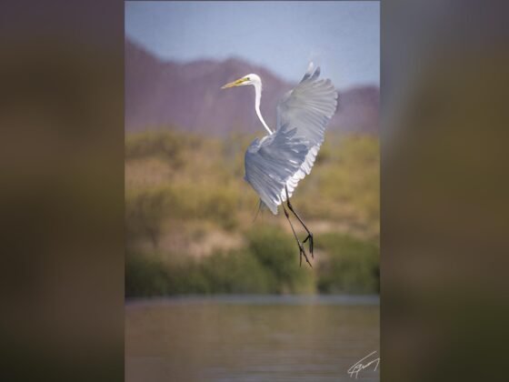 grussing 20230529a FI