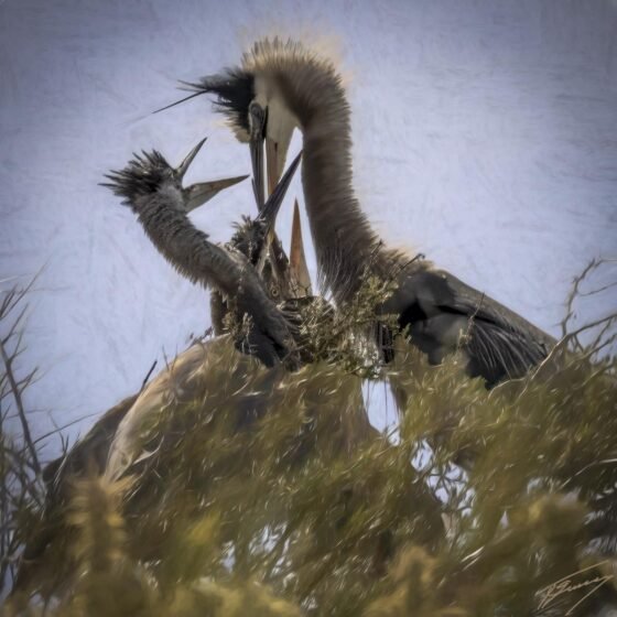 Today’s Photo from Ted Grussing Photography: Time With The Kids grussing 20230606a