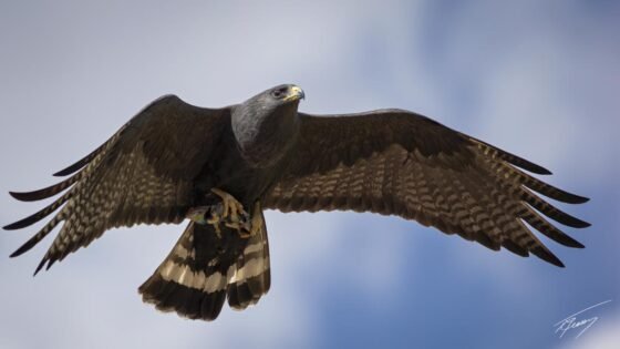 Today’s Photo from Ted Grussing Photography: Which is Which? grussing 20230628a