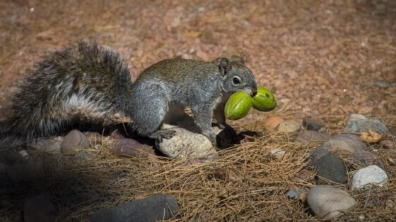 Today’s Photo from Ted Grussing Photography: Big ‘uns grussing 20230705a