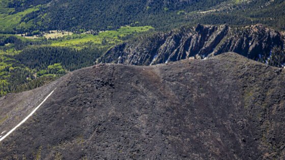 Today’s Photo from Ted Grussing Photography: Stuck on Cool grussing 20230718a