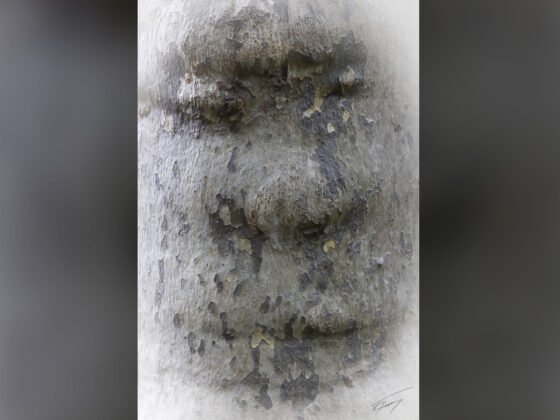 Today’s Photo from Ted Grussing Photography: The Timeless and The Unknown grussing 20230725a FI