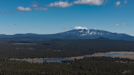 Today’s Photo from Ted Grussing Photography: A Spring Morning grussing 20230810a