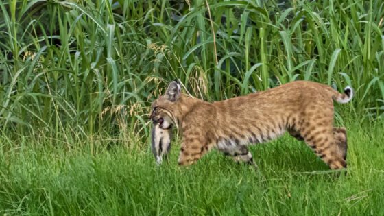 Today’s Photo from Ted Grussing Photography: Without Which … We Perish grussing 20230814a