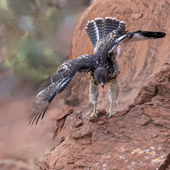 Today’s Photo from Ted Grussing Photography: Remember When … you first tried? grussing 20230831a