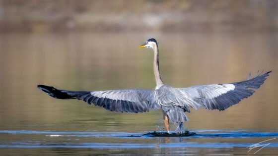 Today’s Photo from Ted Grussing Photography: Direction of Light Makes a Difference grussing 20230912a