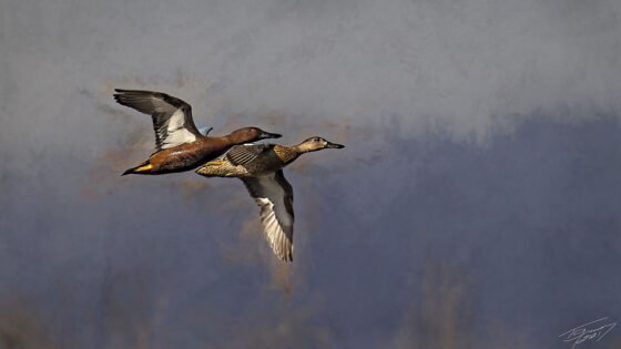 Today’s Photo from Ted Grussing Photography: … to the lake! grussing 20230926a