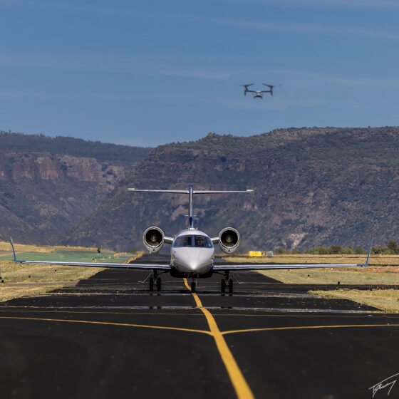 Today’s Photo from Ted Grussing Photography: Katie Has Landed grussing 20231017a