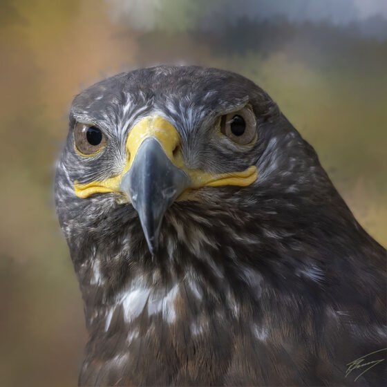 Today’s Photo from Ted Grussing Photography: … what these eyes have seen grussing 20231030a