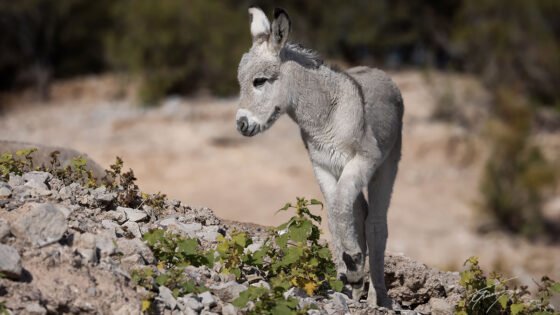 Today’s Photo from Ted Grussing Photography: … we’re here grussing 20231129a