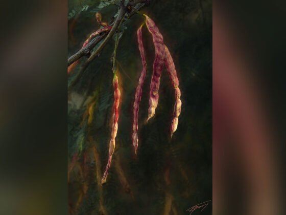 Today’s Photo from Ted Grussing Photography: …never enough of these images grussing 20231227a FI