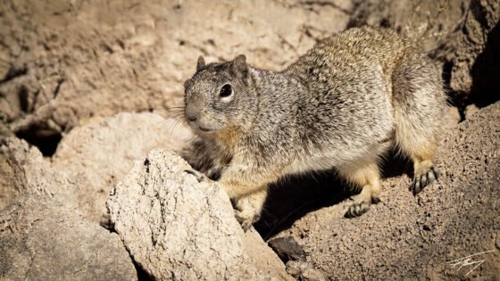 Today’s Photo from Ted Grussing Photography: … the test! grussing 20240301a