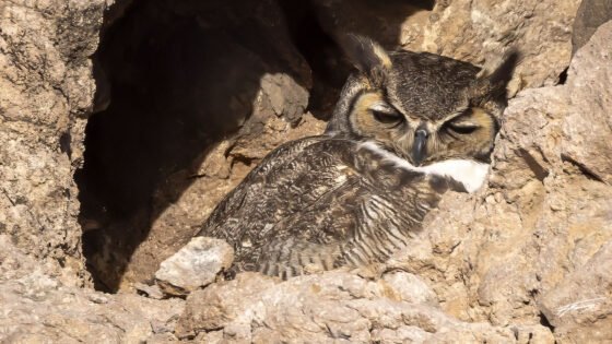 Today’s Photo from Ted Grussing Photography: … everywhere ’tis the season grussing 20240306a