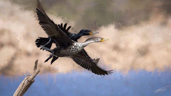 Today’s Photo from Ted Grussing Photography: … it was awesome to be alive and on the water! grussing 20240329a