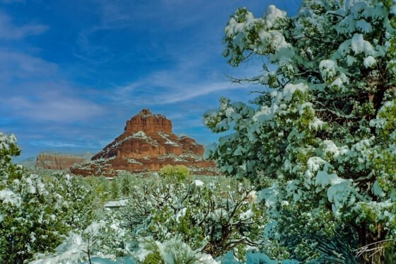 Today’s Photo from Ted Grussing Photography: Oldies But Goodies grussing 20240513a