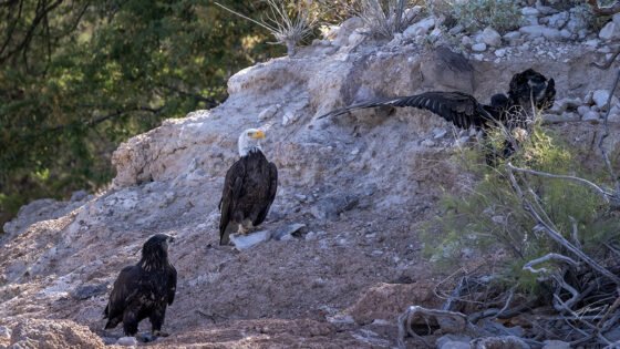 Today’s Photo from Ted Grussing Photography: learning … life’s lessons grussing 20240524a