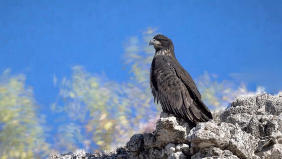 Today’s Photo from Ted Grussing Photography: Shots of the day grussing 20240529a