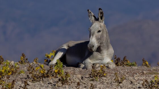 Today’s Photo from Ted Grussing Photography: Connectivity … connected … each other … nature! grussing 20240813a
