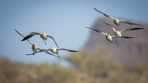 Today’s Photo from Ted Grussing Photography: … coming and going grussing 20241009a