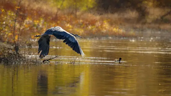 Today’s Photo from Ted Grussing Photography: ... before the day is closed
